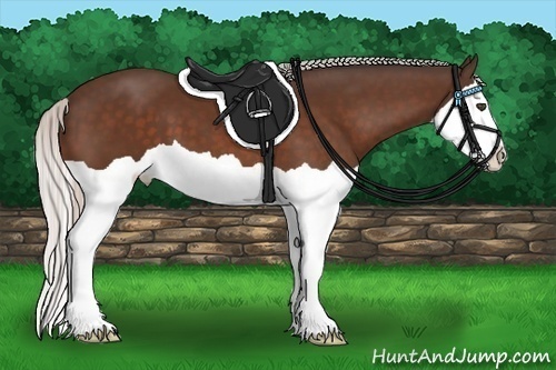 Horse Color:Silver Bay Splash 