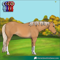 Horse Color:Palomino