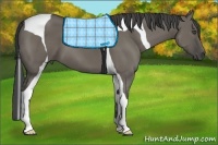 Horse Color:Smoky Grullo Tobiano 
