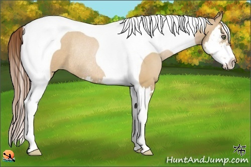 Horse Color:Bay Pearl Dun Splash Tobiano Frame Rabicano