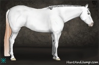 Horse Color:Sable Cream Champagne Appaloosa 