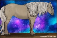 Horse Color:Silver Grullo