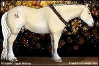 Horse Color:White Spotted Gold Cream Champagne