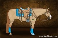 Horse Color:Red Dun Splash 