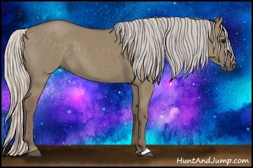 Horse Color:Silver Grullo 