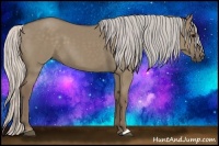 Horse Color:Silver Grullo 