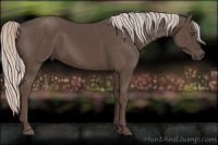 Horse Color:Silver Black Sabino 