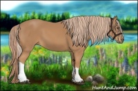 Horse Color:Chestnut Tobiano