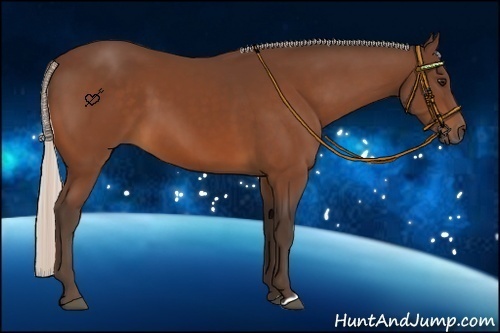 Horse Color:Silver Bay 