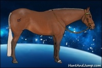 Horse Color:Silver Bay 