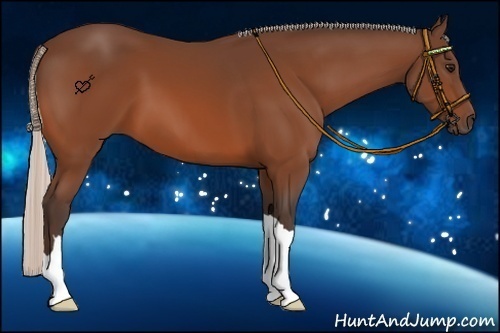 Horse Color:Silver Bay 