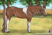 Horse Color:White Spotted Chestnut Tobiano 