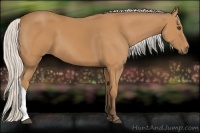 Horse Color:Silver Bay 