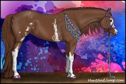 Horse Color:White Spotted Chestnut Sabino
