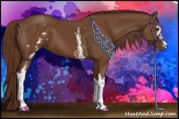 Horse Color:White Spotted Chestnut Sabino