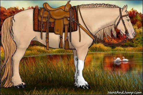 Horse Color:Gold Champagne