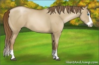 Horse Color:Liver Red Dun Pearl Splash 