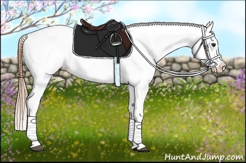 Horse Color:White Spotted Red Dun Appaloosa Rabicano