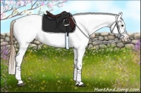 Horse Color:White Spotted Red Dun Appaloosa Rabicano 