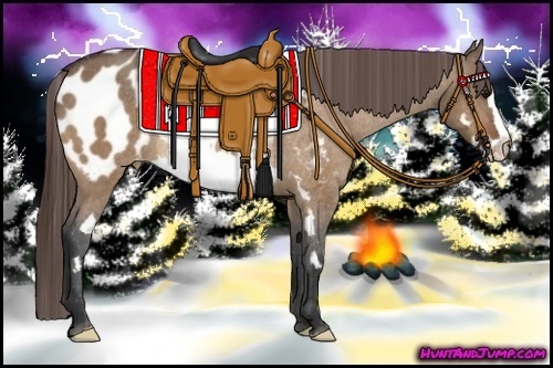 Horse Color:Bay Dun Splash Frame Blanket Rabicano