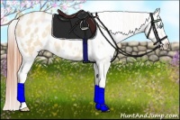 Horse Color:White Spotted Buckskin Pearl Dun Blanket Rabicano 