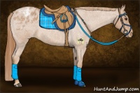 Horse Color:Red Roan Appaloosa 