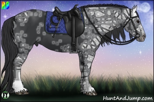 Horse Color:Black Ice 