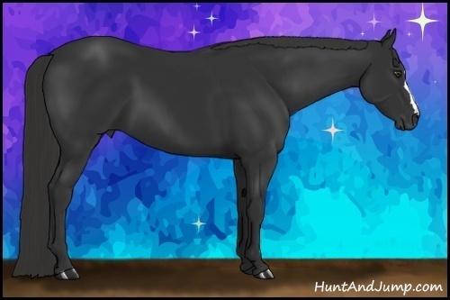 Horse Color:Liver Chestnut Frame 