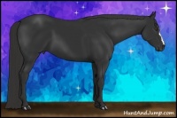 Horse Color:Liver Chestnut Frame 