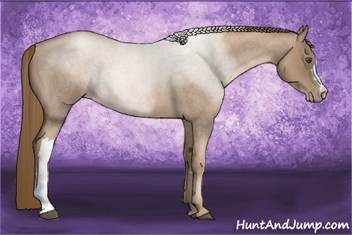 Horse Color:Liver Red Roan Pearl 