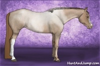 Horse Color:Liver Red Roan Pearl 