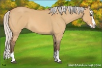 Horse Color:Silver Bay Roan Dun Splash 