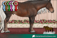 Horse Color:Liver Chestnut Mushroom 