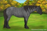 Horse Color:Liver Red Roan Frame 
