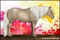 Horse Color:Liver Chestnut Pearl 