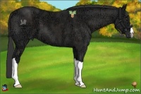 Horse Color:Liver Chestnut Ice 