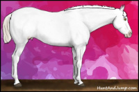 Horse Color:Liver Red Roan Pearl Mushroom Appaloosa 