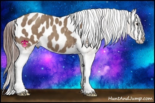 Horse Color:Classic Champagne Tobiano Frame Appaloosa Rabicano 