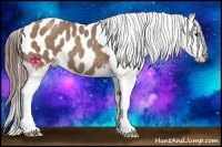 Horse Color:Classic Champagne Tobiano Frame Appaloosa Rabicano 