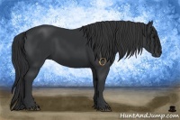 Horse Color:Black Frame 