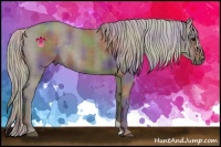 Horse Color:Nacre Silver Grullo Frame Rabicano