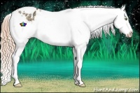 Horse Color:Gold Champagne Ice Roan Dun Splash Tobiano Frame Varnish Rabicano