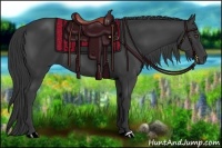 Horse Color:Black Rabicano 