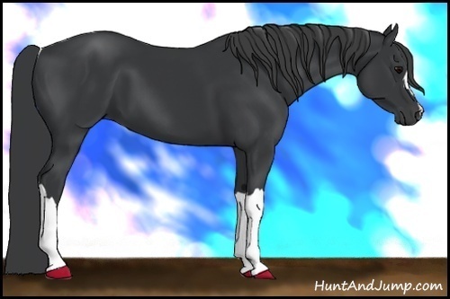Horse Color:Black Frame 