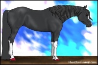 Horse Color:Black Frame 