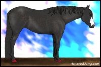 Horse Color:Liver Chestnut Frame