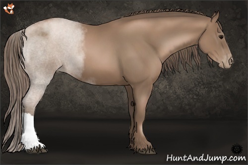 Horse Color:Black Pearl 