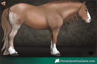 Horse Color:Black Pearl 