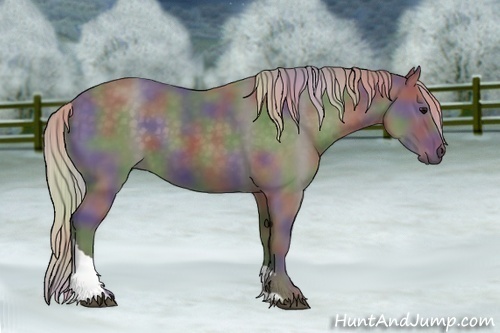 Horse Color:Nacre Silver Black Tobiano 