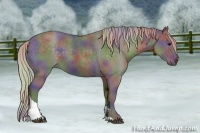 Horse Color:Nacre Silver Black Tobiano